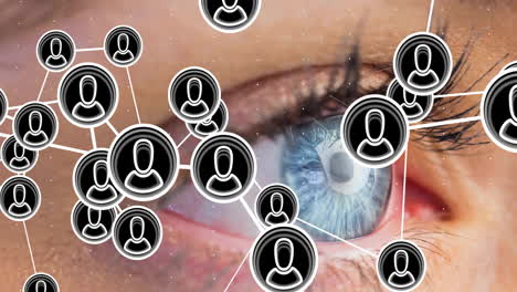 animation of people icons and connections over close up of woman's eye