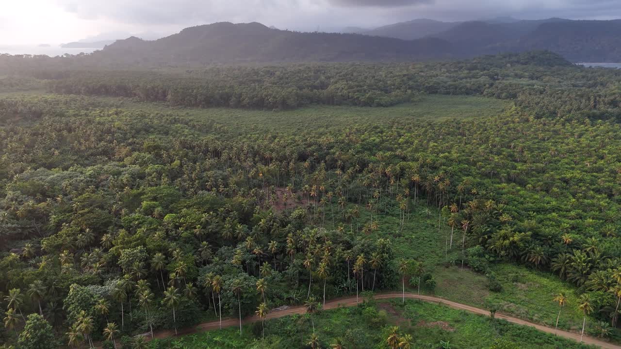 A scenic high-angle perspective of a quiet road cutting through the vast tropical forest and savanna of Sao Tome Island African destination paradise