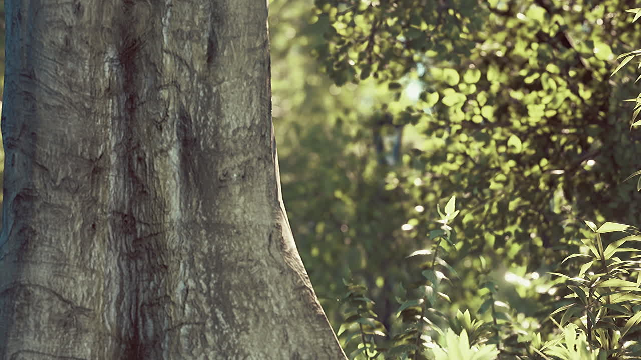 vista panorámica del parque con campo de hierba verde en la ciudad