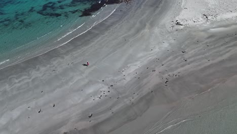 couple on sandy beach of tasmania beside turquoise clear ocean water in summer