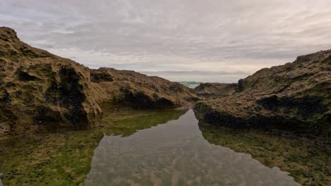 underwater and coastal views of gunnamatta beach