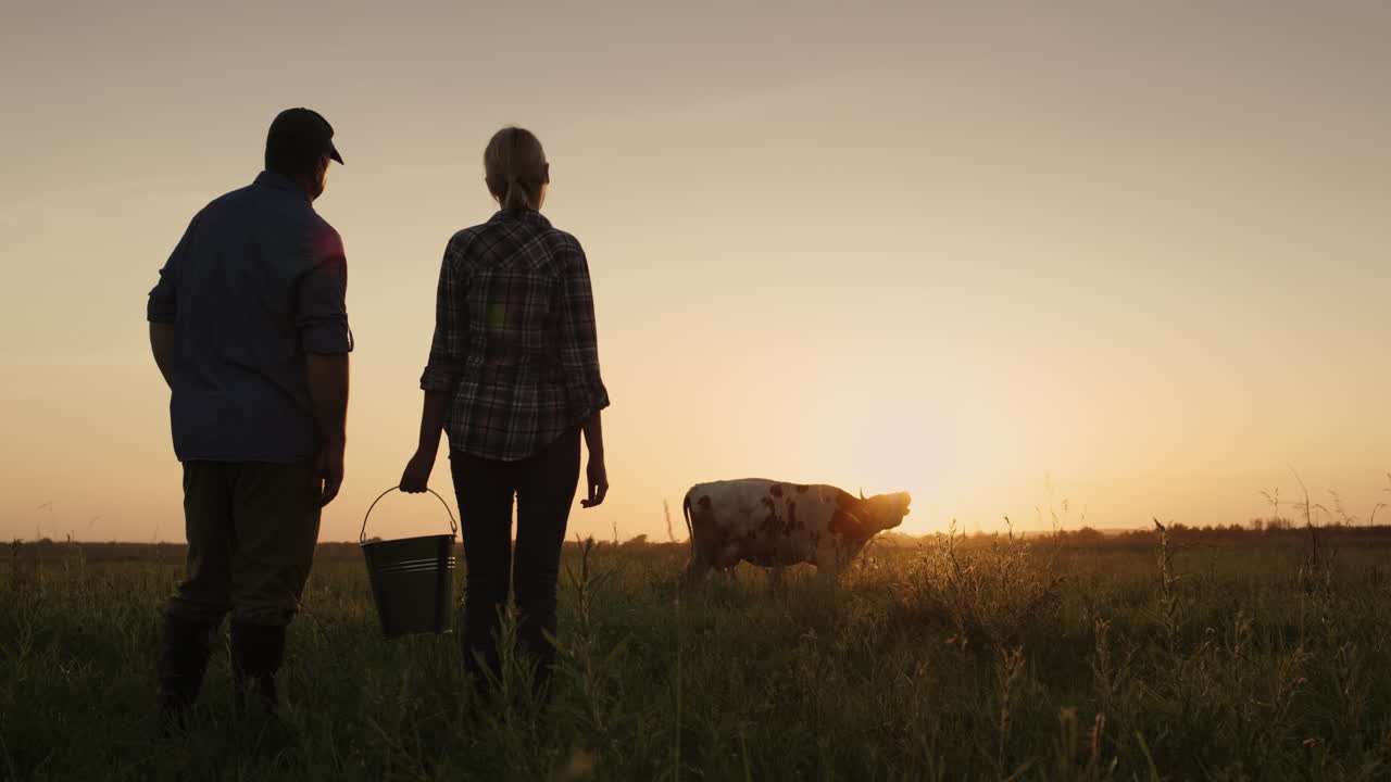 A couple of farmers admire their cow grazing in a meadow 1