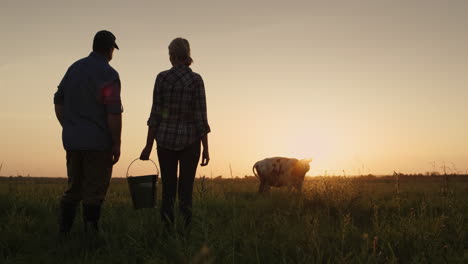 a couple of farmers admire their cow grazing in a meadow 1