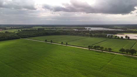 aerial view of green fields and rural landscape under an overcast sky
