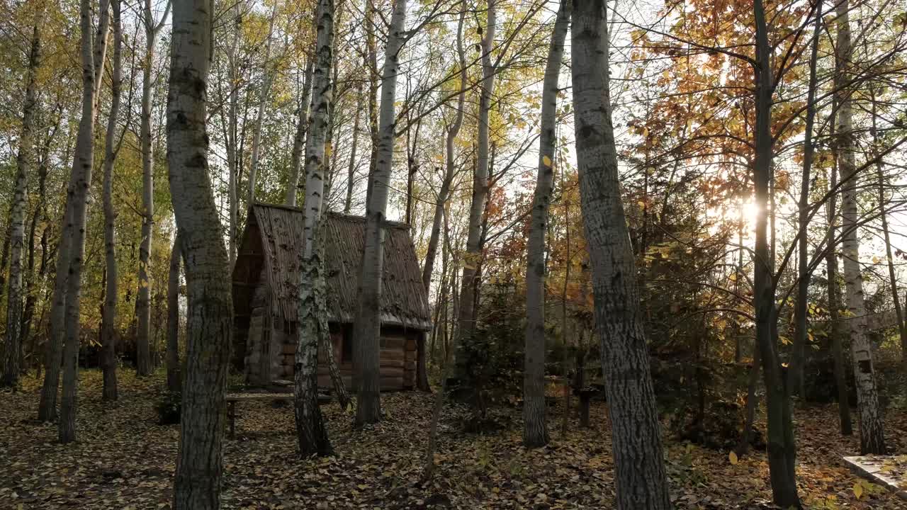가을의 숲집. 가을의숲집 전망. 숲길 집. 가을 숲집 길 풍경