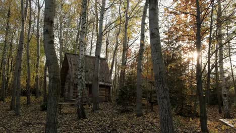 forest house in autumn. autumn forest house view. forest road house. autumn forest house road landscape