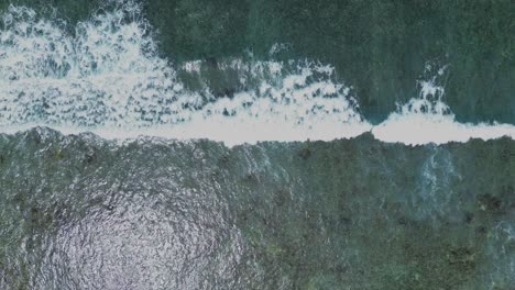 aerial zenithal shot of waves breaking on coral reef. static camera on bright day