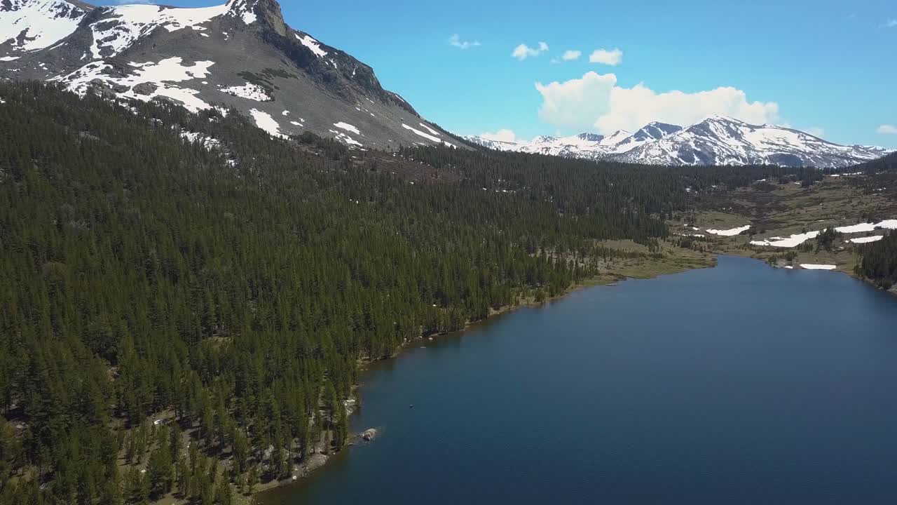 vista aérea del árbol de hoja perenne en el lago ellery cerca de yosemite