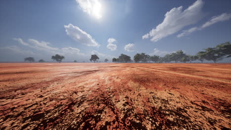 african savanna landscape with acacia trees