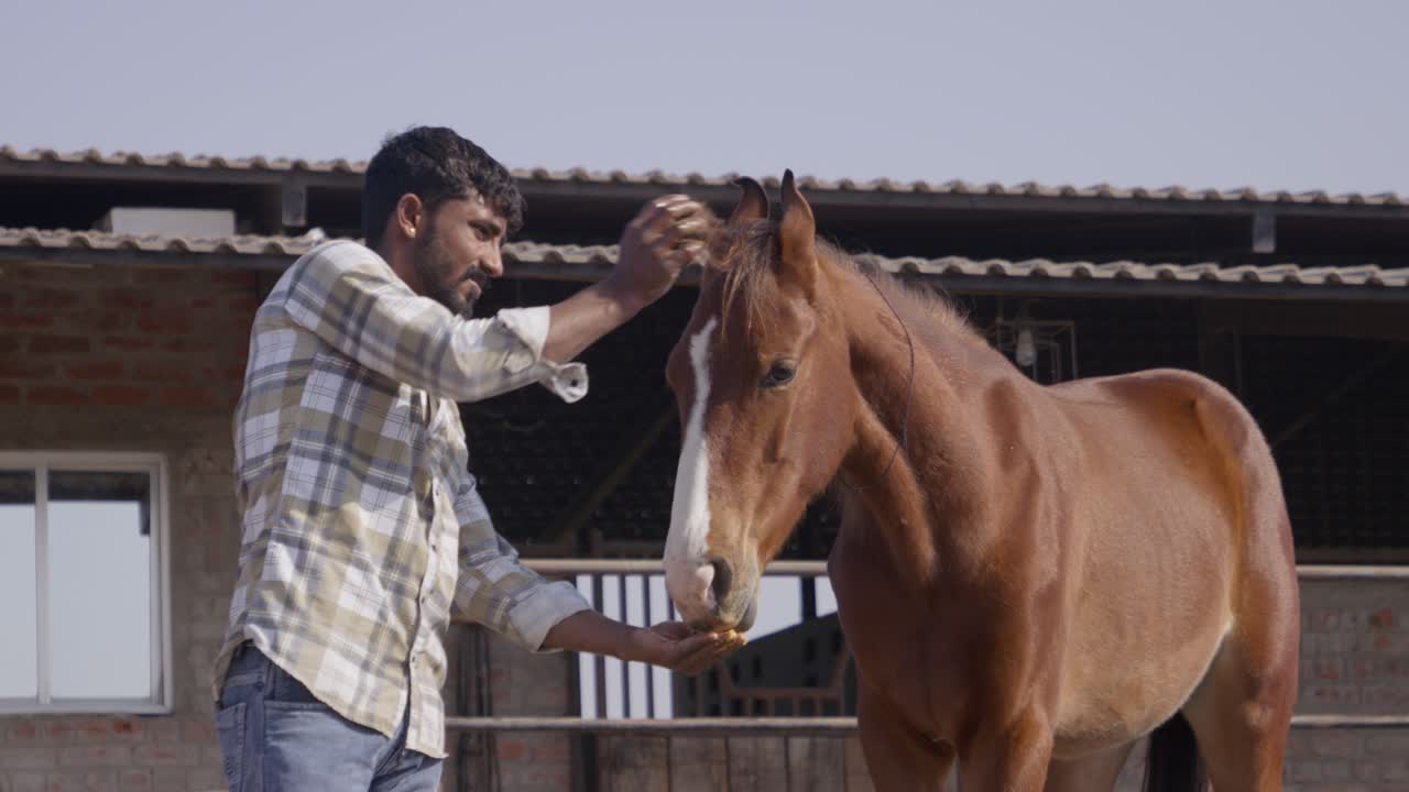 A slow-motion of South Asian man feeding a horse from his hand on a sunny day with rural building behind them