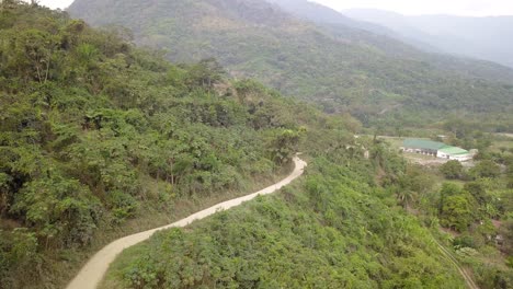 Plantación-De-Café-En-La-Selva-Montañosa-Boliviana