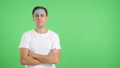 dignified and serious man with greek flag painted on face