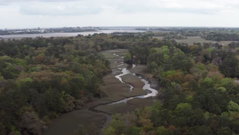 Toma-Aérea-Descendente-Baja-De-Humedales-Pantanosos-Y-Canales-Estrechos-A-Lo-Largo-Del-Río-Ashley-En-Albermarle-Point,-Carolina-Del-Sur