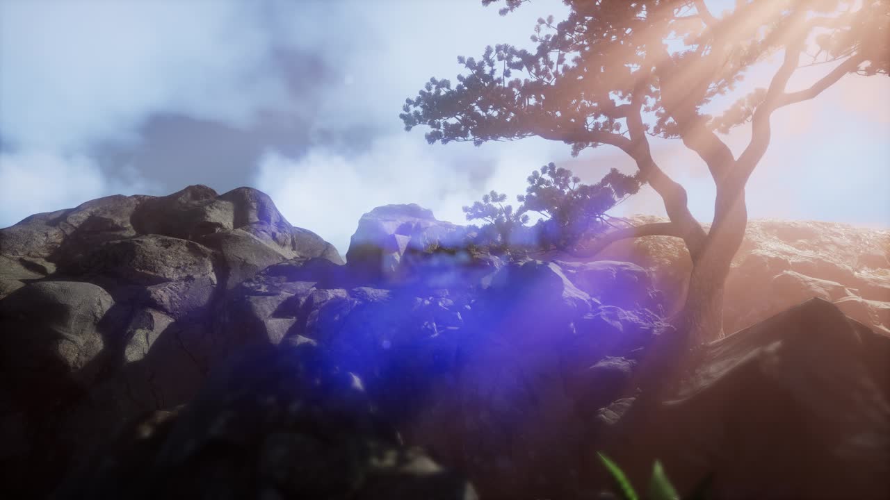 안개 속의 산꼭대기