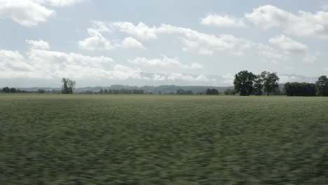 drone flying at low altitude over green fields