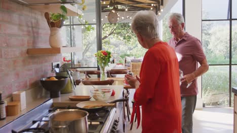 senior caucasian couple cooking together in the kitchen