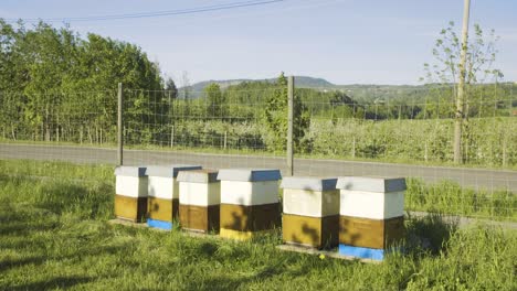 Row-Of-Beehive-Apiary-Boxes-Beside-Garden-Wire-Fence