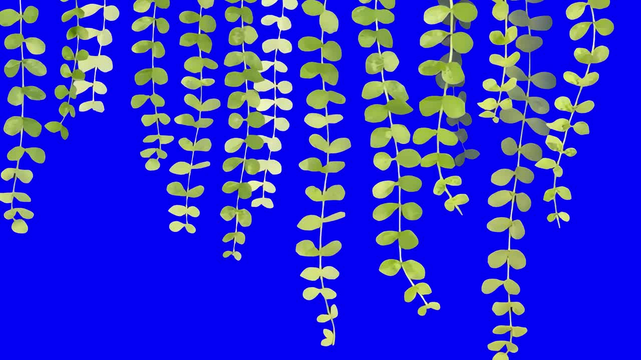 Green leaves against blue backdrop transparent 4K video, green screen