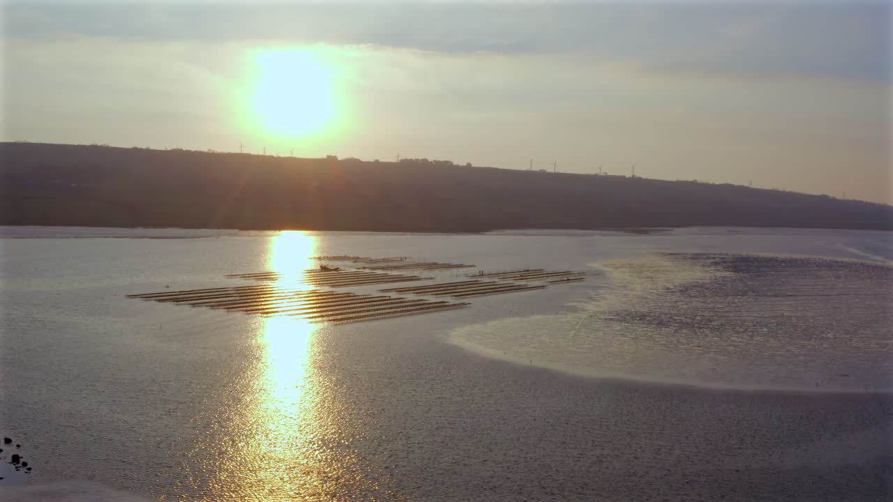 Dawn's golden rays dance across oyster farm, aerial shot revealing maritime landscape in luminous morning reflection