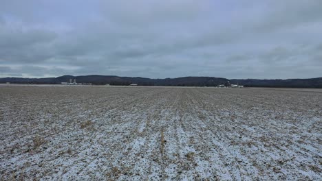 snowy farmland landscape with cattle