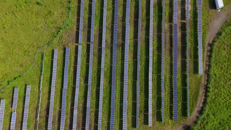 rows of panels on a solar farm, producing eco friendly and renewable energy. aerial flyover.