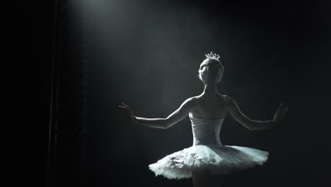 classical ballet choreography perfoming by young b 2023 11 27 05 11 46 utc (1).mov | art, background, ballerina, ballet