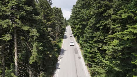 carretera asfaltada con vista aérea del bosque verde