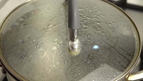 agua hirviendo en una sartén