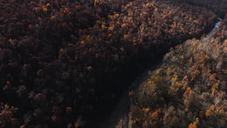 lee creek river amidst autumnal forest woods in washington county, arkansas, usa