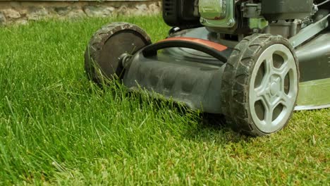 lawn mower cutting the grass. gardening activity. cutting grass with petrol driven lawn mower in sunny garden. gardener working with  mower machine in the garden. lawn mower cutting green grass