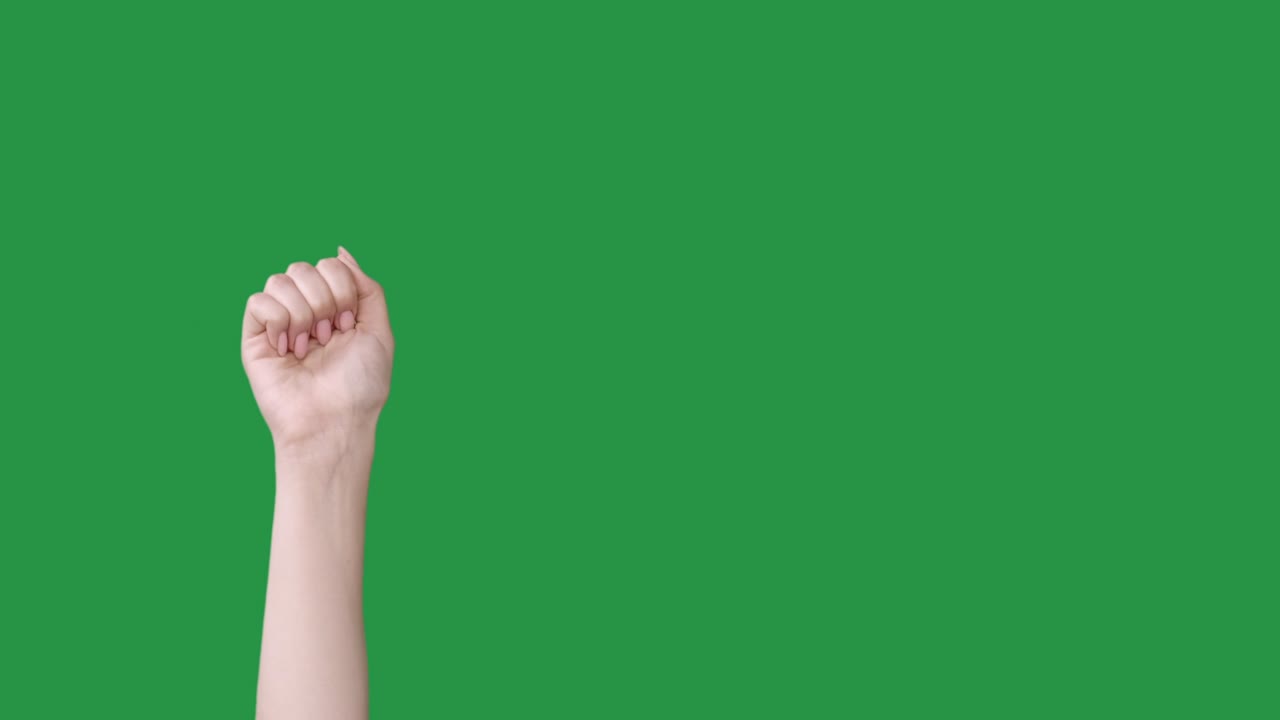 손을 두드리는 기회, 도착, 주먹을 는 기회