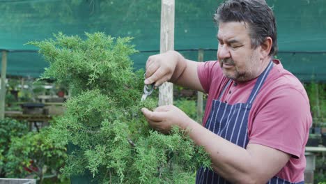 caucasian male gardener cutting bonsai tree at garden center