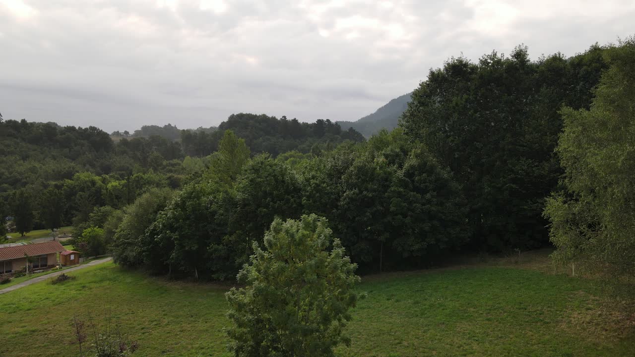 An upward journey with a drone, showing a rural landscape with ferns and coniferous trees, as well as green hills