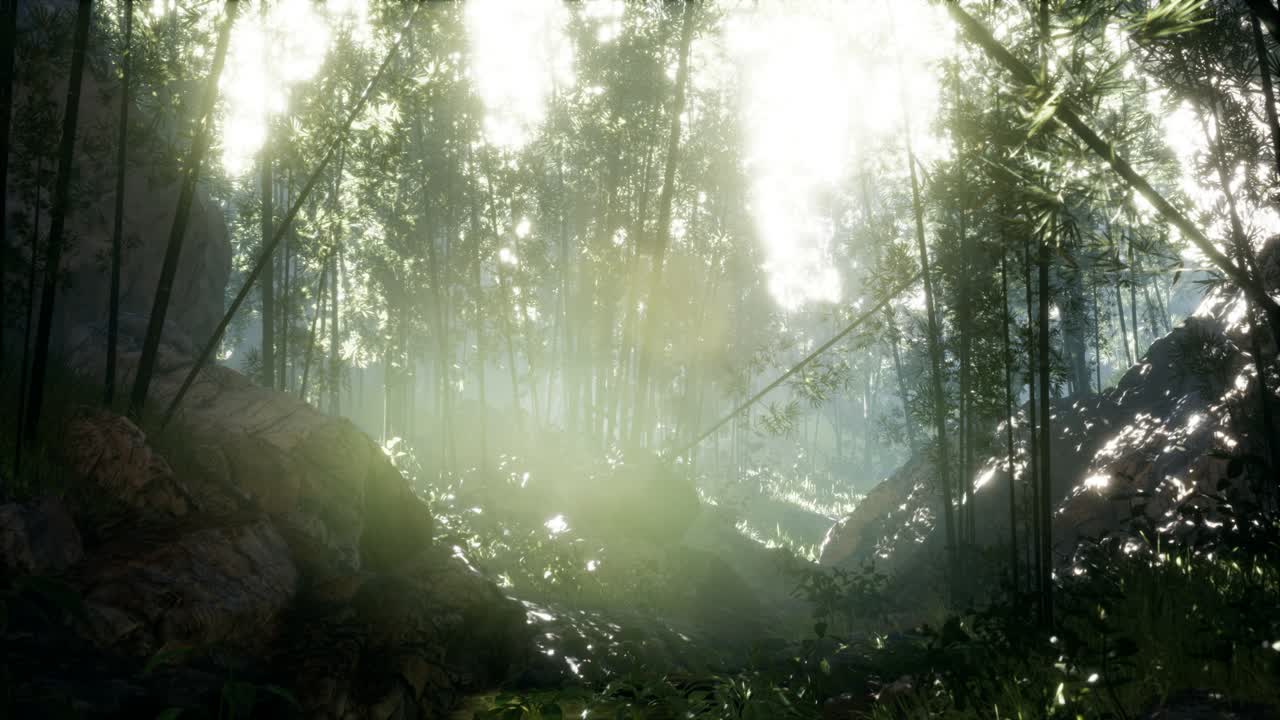 돌이 있는 연못의 연안 근처에 있는 울창한 초록색 대나무 잎.