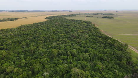 Ein-Blick-Auf-Einen-Einheimischen-Berg,-Umgeben-Von-Grünen-Bonusfeldern,-Der-Das-Harmonische-Zusammenleben-Von-Natürlicher-Schönheit-Und-Landwirtschaftlichen-Praktiken-Zeigt