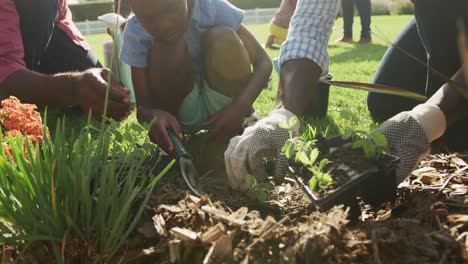 Video-of-happy-african-american-family-planting-and-spending-time-together-in-the-garden