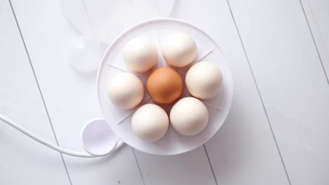 chicken eggs in a egg electric cooker on a white wooden table