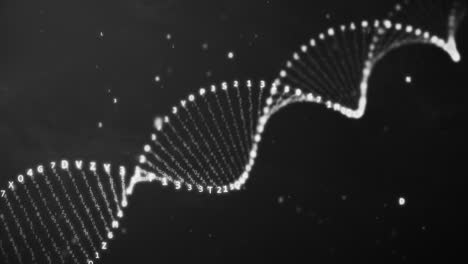 estructura abstracta del adn