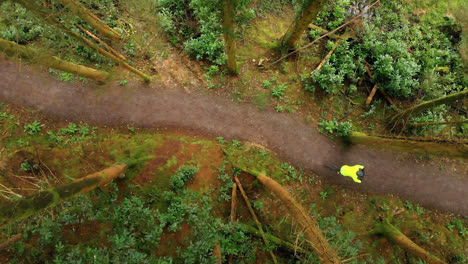 Mann-Fährt-Fahrrad-Im-Wald-4k