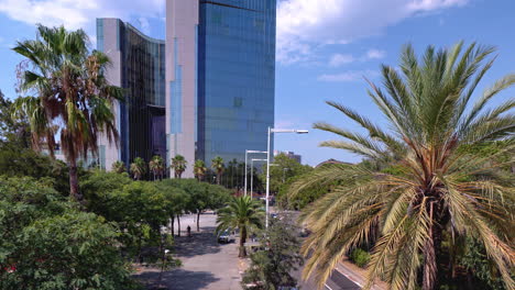 barcelona mirrored glass skyscraper with clouds in the sky and wind blowing palm trees
