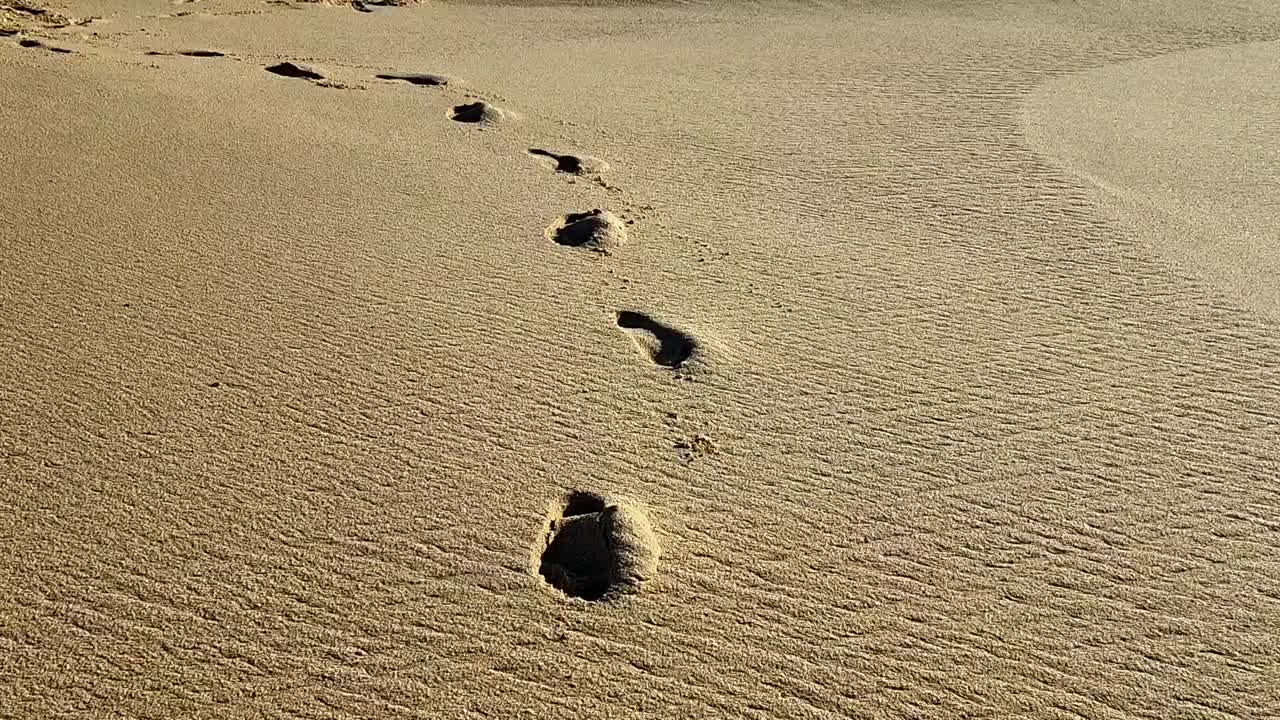 아침에 해변에서  ⁇ 고