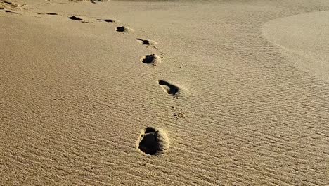 walking on the beach in the morning