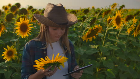 Una-Granjera-Sostiene-En-Sus-Manos-Un-Girasol-Y-Considera-Sus-Características.-Ella-Es-Especialista-En-Botánica.