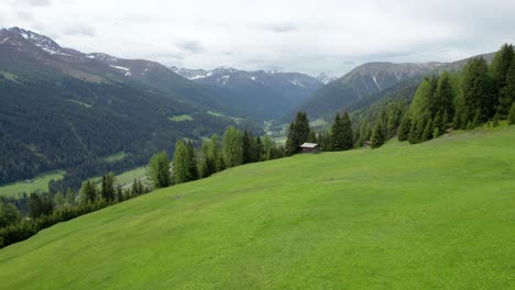 aerial drone footage rising above an alpine meadow in spring in full flower with a forest of green conifer trees, log cabin and mountains in the background in davos, switzerland