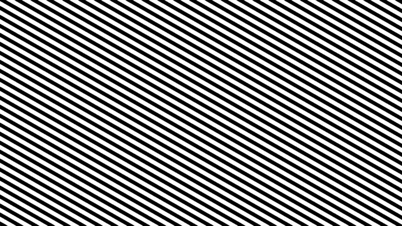 제브라 라인 움직임 애니메이션 배경: 원활한 루프