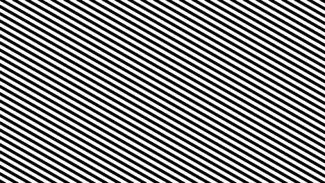 zebra line movement animation background. seamless loop