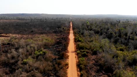 long dirt road through madagascan countryside
