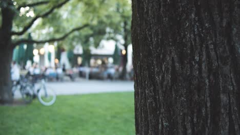 Blurred-Restaurant---Cafe-with-many-people-in-background---Crowded-place---Outside---Garden