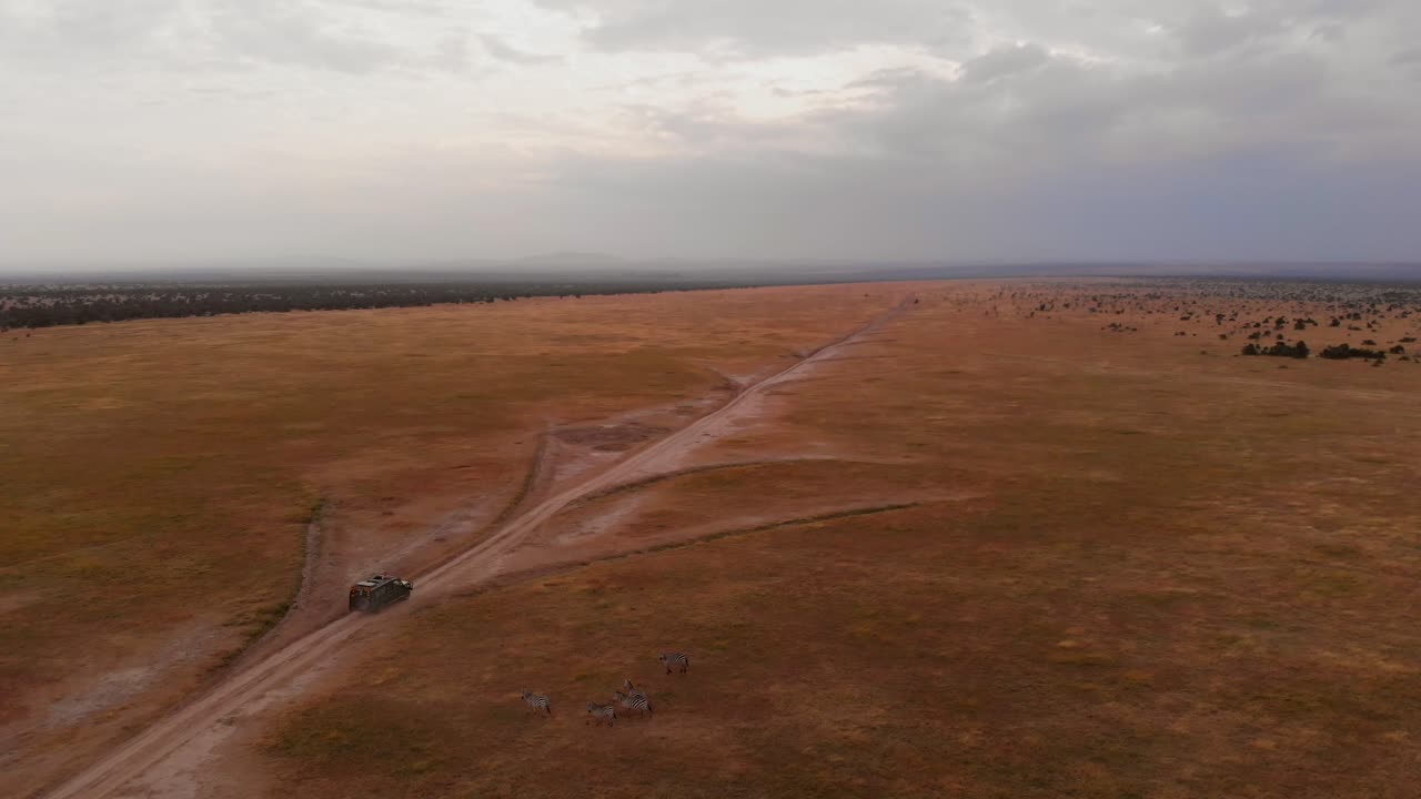 un juego de conducción-safari a través de ol pejeta, kenia
