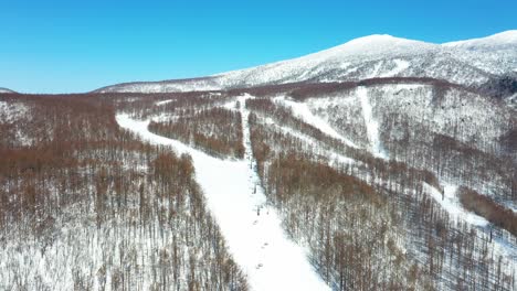 The-aerial-view-of-Fukushima